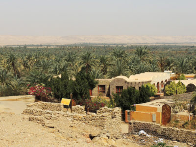 Bahariya Oasis 1