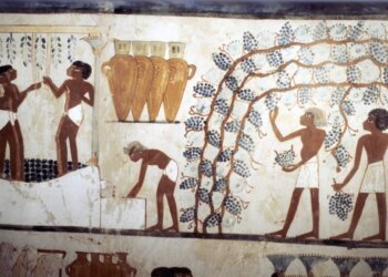 Can you drink in Egypt