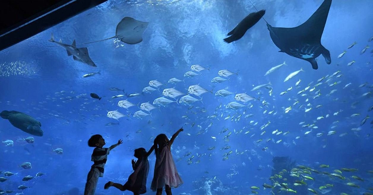 Best City to Visit in Egypt with Family 2 Hurghada Grand Aquarium
