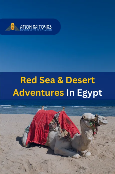 Red Sea & Desert Adventures