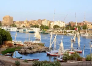 Aswan Day Tours