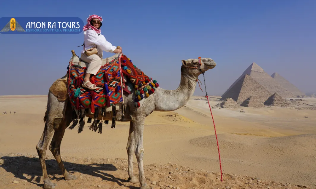 Where to Go in Egypt in February 2026: Without Wasting Time or Money 2 Where to Go in Egypt in February